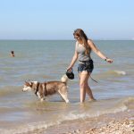 Quels sont les plages adaptées aux chiens en France ?